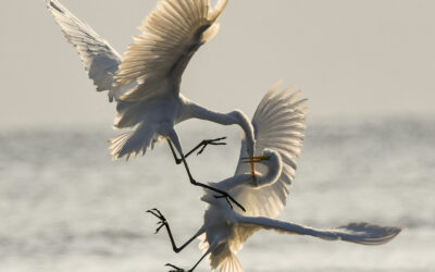 Dealing with Conflict as a HSP